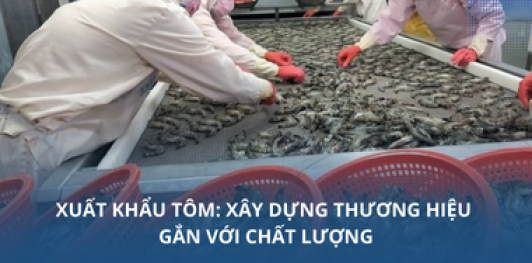 Xuất khẩu tôm: Xây dựng thương hiệu gắn với chất lượng